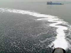 中國(guó)自來(lái)水與國(guó)外自來(lái)水的區(qū)別，看完絕對(duì)震驚!