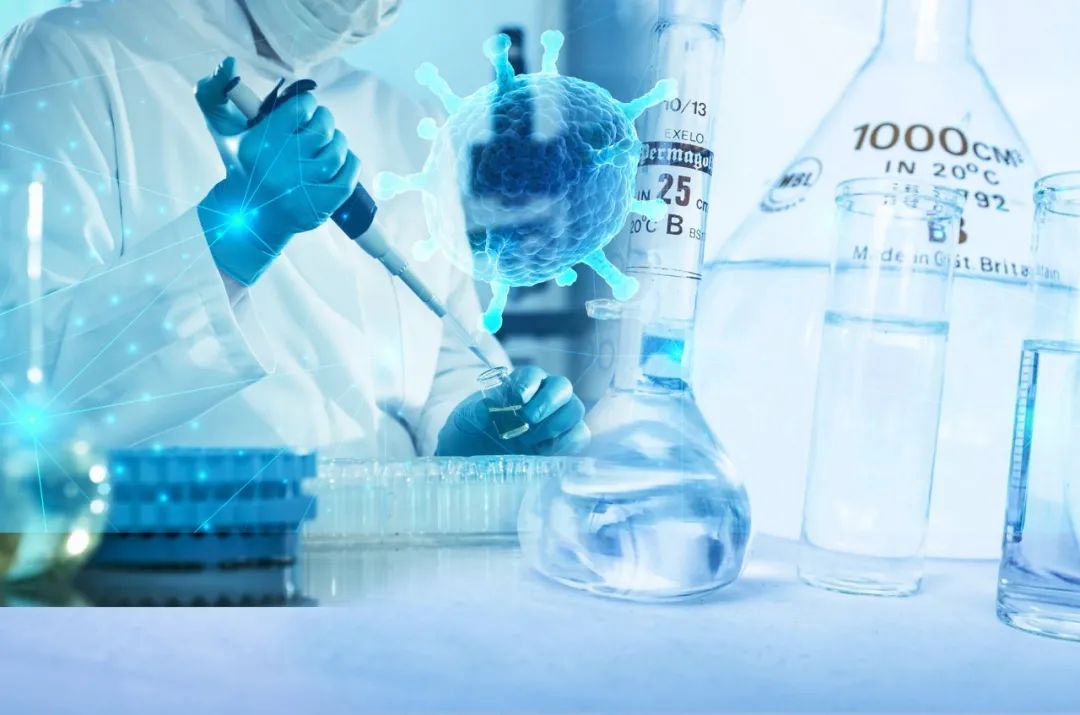 1_20210929103637c1544.jpeg 1_20210929103637c1544.jpeg