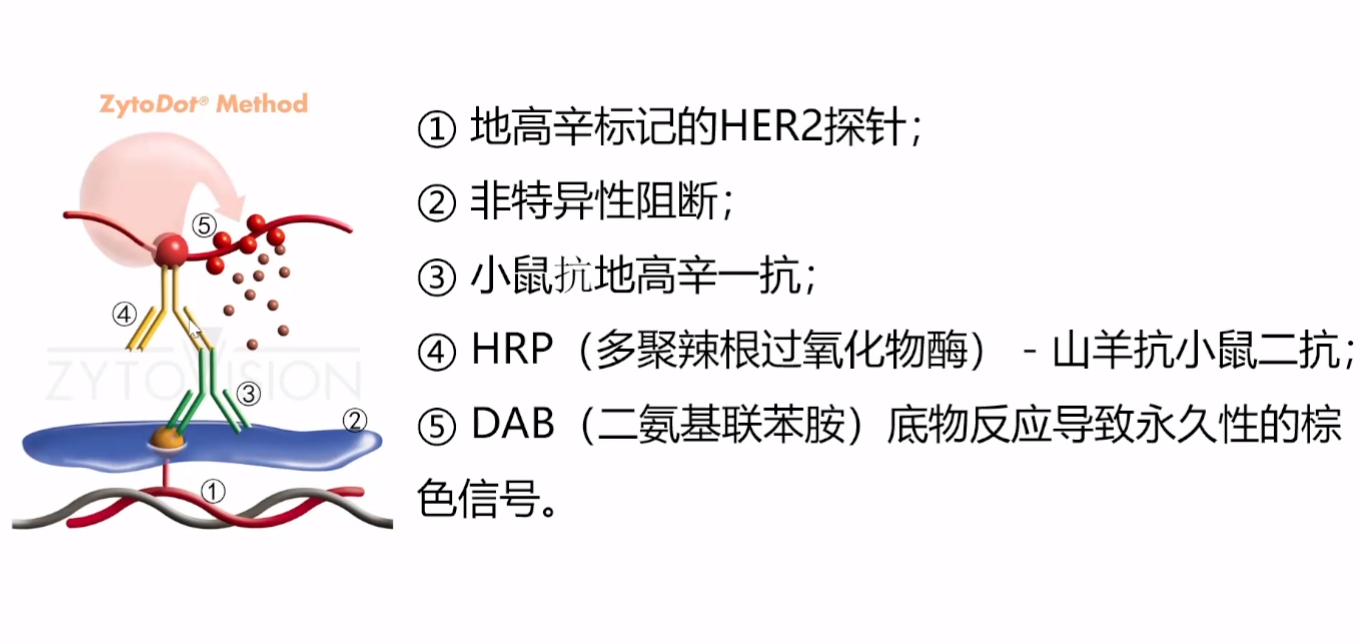 120608.png 120608.png